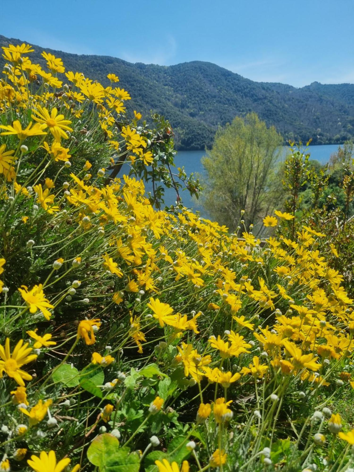 Cote Lac Tolla Exteriér fotografie