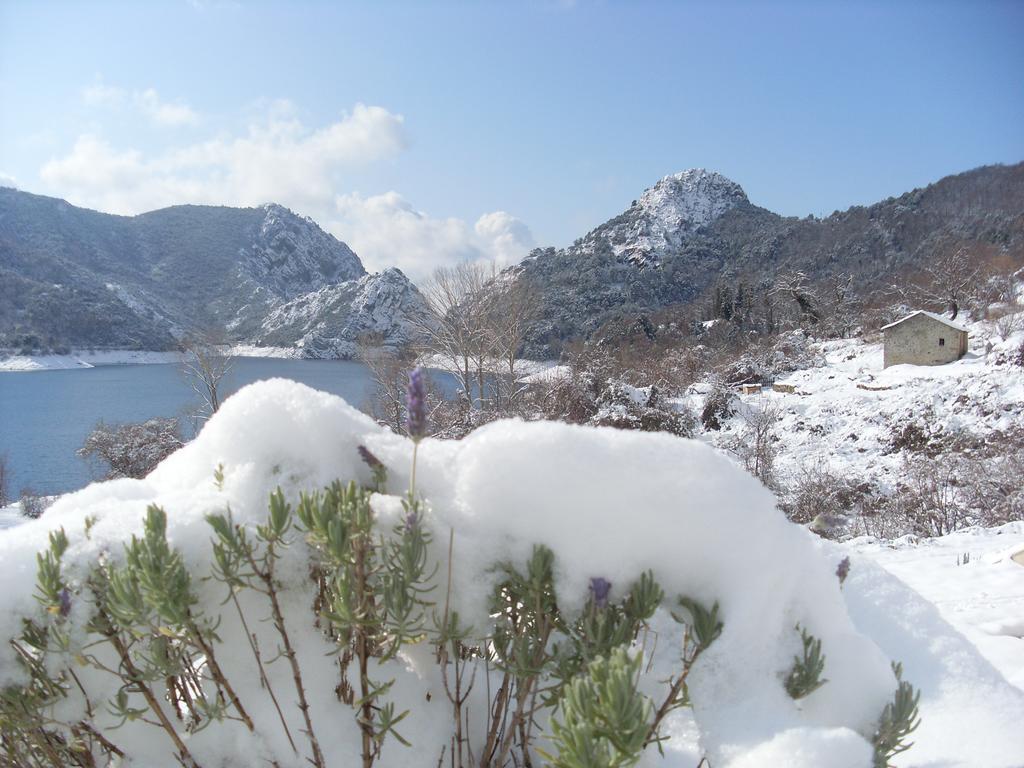 Cote Lac Tolla Pokoj fotografie